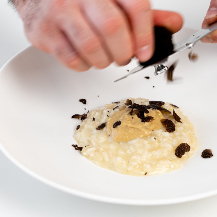 risotto z truflą toskania selektia