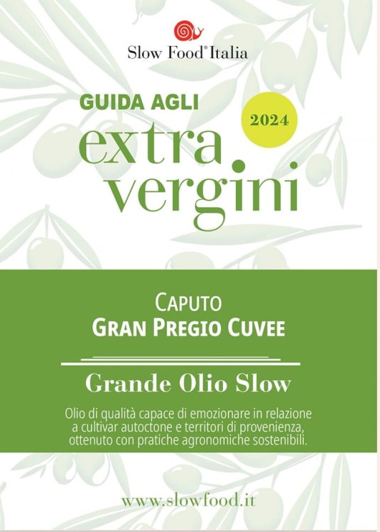 438786346_1198615824839157_6368714561710838461_n