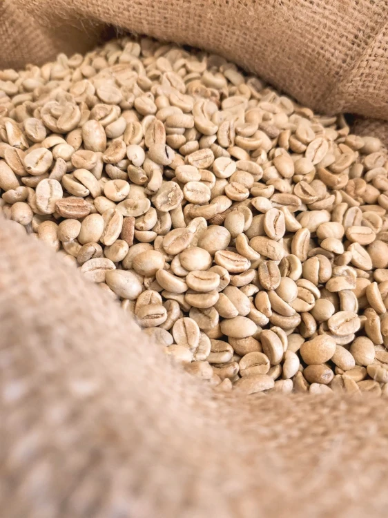Ziarna 100% Arabica z certyfikatem Fairtrade. Rzemieślnicze palenie Franco Caffè chroni polifenole i zapobiega powstawaniu akryloamidu.