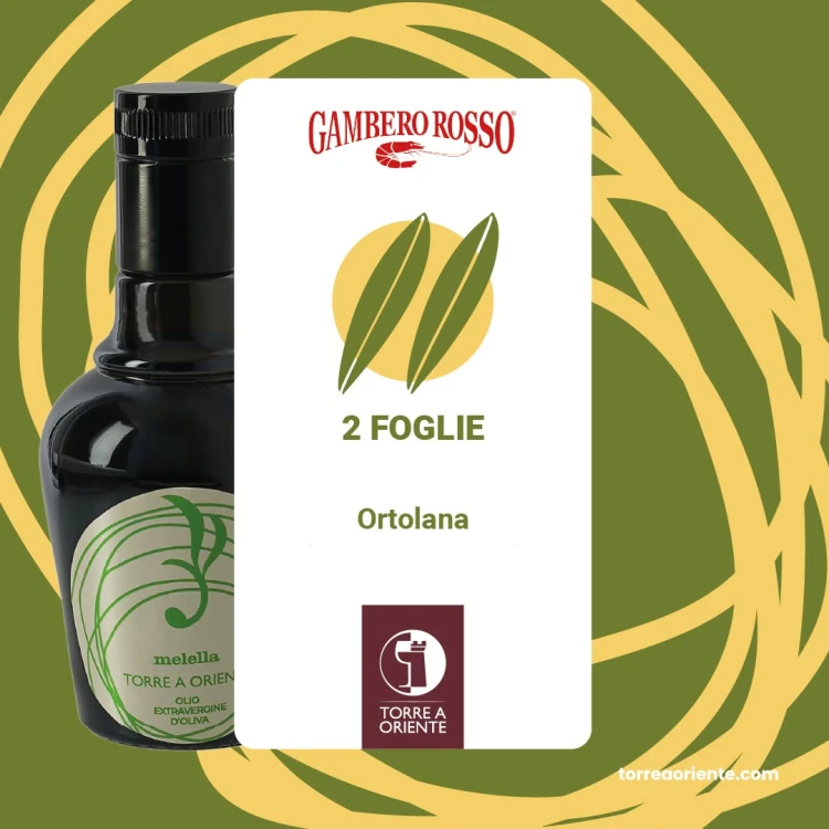 Zestaw rzadkich włoskich oliw premium Torre a Oriente do domowych degustacji i fine diningu